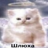 Логотип телеграм канала @pizdenishhh — пиздец