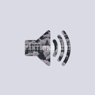 Telegram channel Panterra Music 🎶 logo