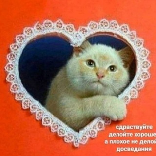 Логотип телеграм канала @pizdostime — Что-нибудь интересное