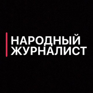 Логотип телеграм канала @pjournalist — НАРОДНЫЙ Журналист