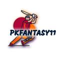 Logo saluran telegram pkfantasy11 — PK FANTASY11 (CRICKET BASKETBALL FOOTBALL TEAMS)
