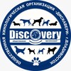 Логотип телеграм канала @pkkos_discovery — ПККОС & ДИСКАВЕРИ г.Владивосток и наши друзья!