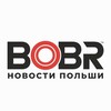 Логотип телеграм канала @pl_bobr — BOBR - Варшава