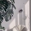 Логотип телеграм канала @placefreedom — Place freedom | Мебель и предметы интерьера