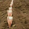 Логотип телеграм канала @plagiat000 — Инфоцыгане, аферисты плагиаторы