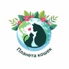 Логотип телеграм канала @planetakosheknn — Планета кошек