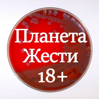 Логотип телеграм канала @planetazhesti18 — Планета жести 18 