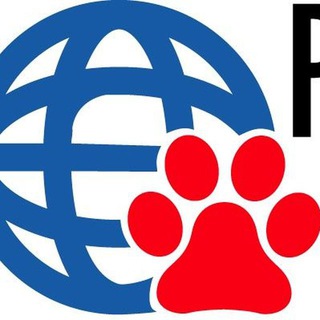 Logo del canale telegramma planetdiscountpet - Planetdiscount- animali