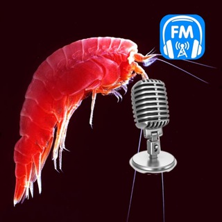 Logo of telegram channel planktonline — Планктон