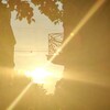 Логотип телеграм канала @plansummers — Планы на лето 🌞