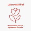 Логотип телеграм канала @plant2nursery — "Цветочный Рай, группа розницы"