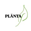 Логотип телеграм канала @planta812 — plānta / plânta / планта