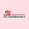 Логотип телеграм канала @plantacia_mgdn — Плантация | Цветы Магадан | Доставка цветов