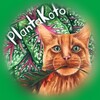 Логотип телеграм канала @plantakoto — PlantaKoto