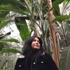 Логотип телеграм канала @plantasmagoria — Plantasmagoria 🌿 Alba’s plants