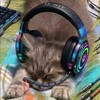 Логотип телеграм канала @plantmalysha_official — Плент Малыша - путь в CS2