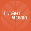 Логотип телеграм канала @plantpr — Планто́рий