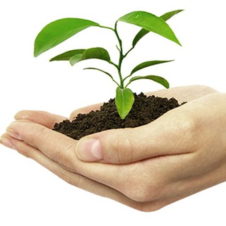 لوگوی کانال تلگرام plantprotection1 — plant protection