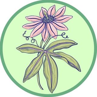 Логотип телеграм канала @plants_botsad_vrn — Растения Ботанического сада ВОРОНЕЖ