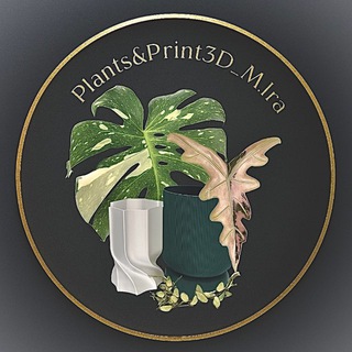 Логотип телеграм канала @plants_print3d_mira — Plants&Print3D_M.Ira