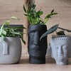 Логотип телеграм канала @plants_fans — 🍂🍃Plants_fans 🍂🍃| Комнатные растения