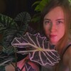 Telegram channel Plants & Purrfection logo