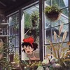Логотип телеграм канала @planttanya — planttanya 💚 мои растения