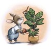 Logo of telegram channel planty_ka — Planty_ka🌱