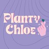 Логотип телеграм канала @plantychloe — Planty Chloe | Закупки