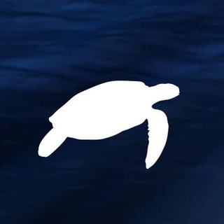 Logo del canale telegramma plasticfreeonlus - Plastic Free Onlus