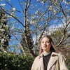 Логотип телеграм канала @plateofrice — тарелка рисы