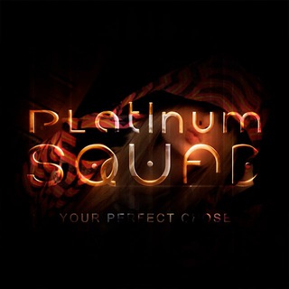Логотип телеграм канала @platinum_wrk_channel — Алина Platinum Squad