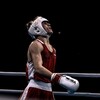Логотип телеграм канала @platonboxingg — PLATON TEAM