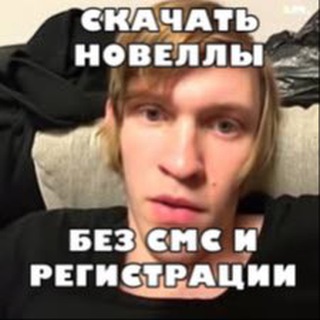 Логотип телеграм канала @play_novela — новеллы скачать
