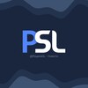 Логотип телеграм канала @playeroksl — PlayerokSL - Новости