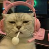 لوگوی کانال تلگرام playiistmood — Mood Playlist | پلی لیست