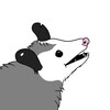 Логотип телеграм канала @playingpossumhiss — PlayingPossum