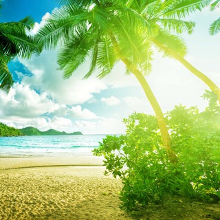 Логотип телеграм канала @playtravel — PLAY TRAVEL