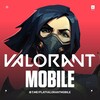 Logo of telegram channel playvalorantmobile — VALORANT MOBILE | VINFO