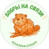 Логотип телеграм канала @plazmabobr — Бобры на связи