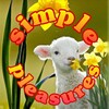 Logo of telegram channel pleasurespleasures — Simple Pleasures