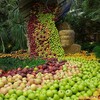 Логотип телеграм канала @plodsad — Плодовый Сад