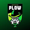 Logotipo del canal de telegramas plowplowking - PLOWPLOW ANALISTA 📊 💰