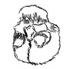 Logo of telegram channel pluffxd — PLUFF