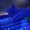 Логотип телеграм канала @plugnific — Плагины Нифика