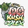 Логотип телеграм канала @plugplay20 — Kalikush16