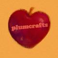 Logo saluran telegram plumcrafts — plumcrafts