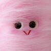 Логотип телеграм канала @plumplays — Дом котят