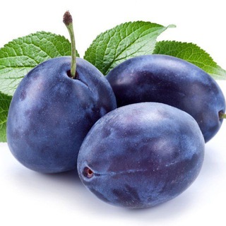 Логотип телеграм канала @plums_place — Сливы