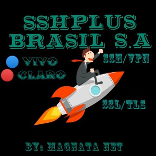 Logo of telegram channel plusbrasil1 — PLUS BRASIL ofc